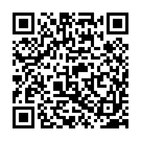 QR code for PPI093