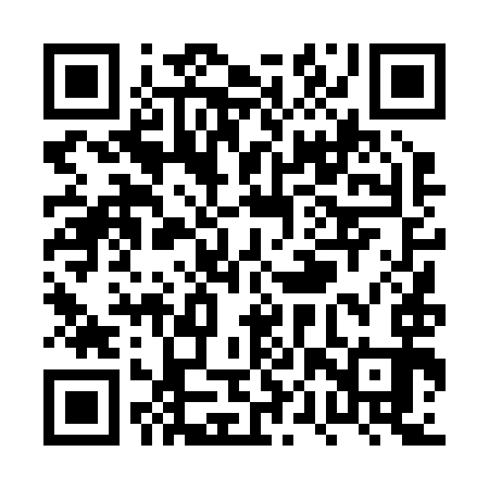 QR code for PPT293