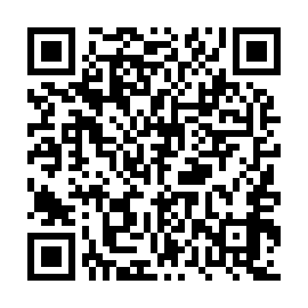 QR code for PPT959