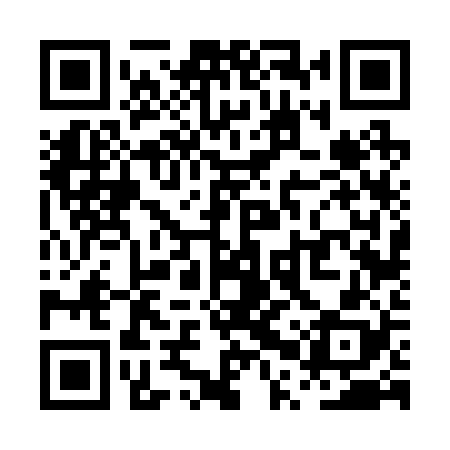 QR code for PPV228