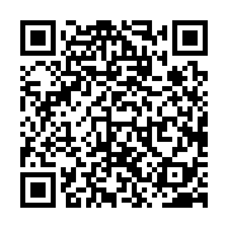 QR code for PSP339