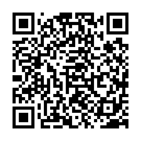 QR code for PYH711