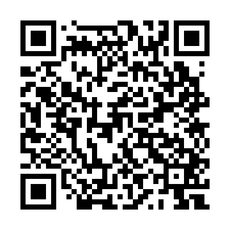 QR code for PYS341