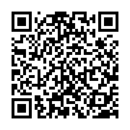 QR code for QEL919