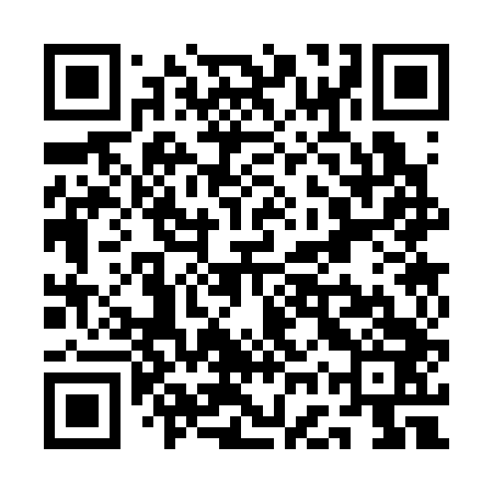 QR code for QGS343