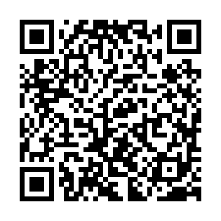 QR code for QIZ291