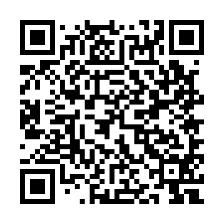 QR code for QJE194