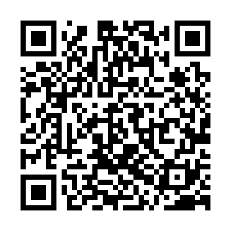 QR code for QPL371