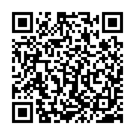 QR code for QZF393
