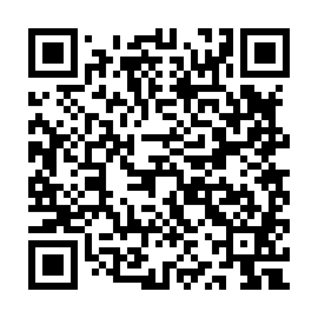 QR code for QZR881