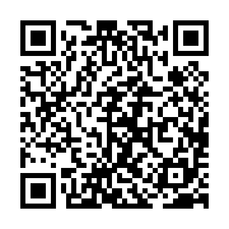 QR code for RAP095