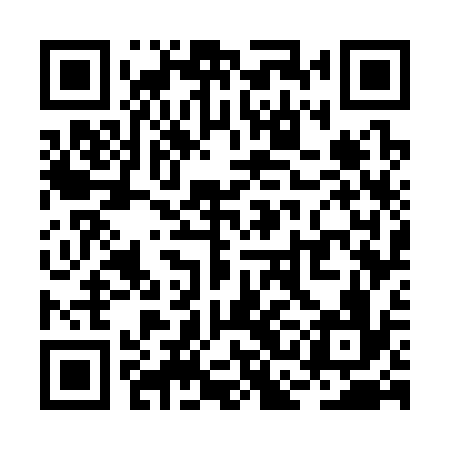 QR code for RCG336