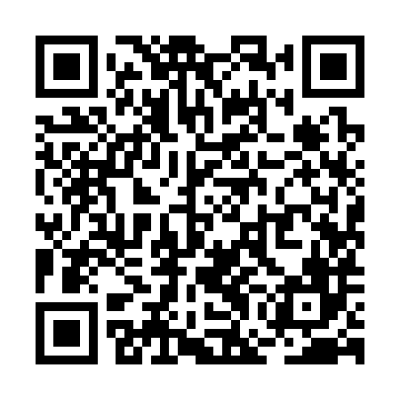 QR code for RGI386