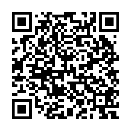 QR code for RMB208