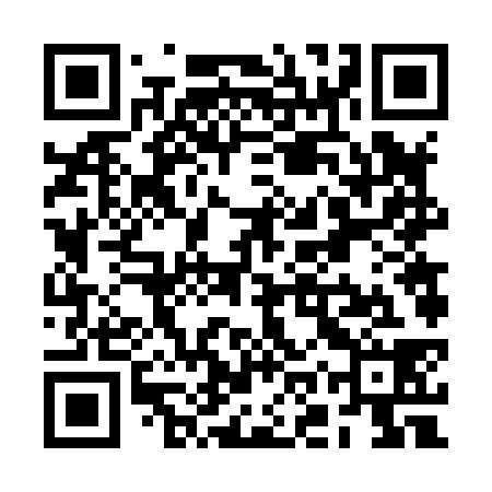 QR code for ROV838