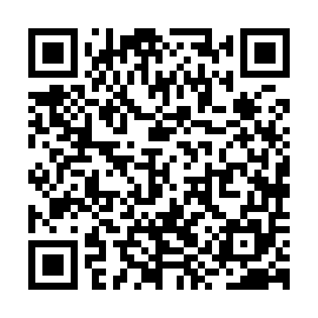 QR code for RYX955
