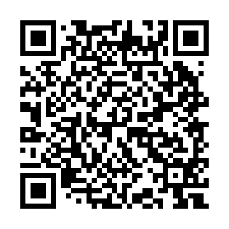 QR code for SBP294