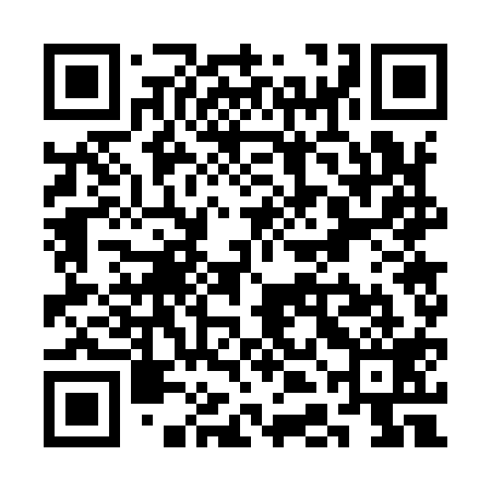 QR code for SDG919