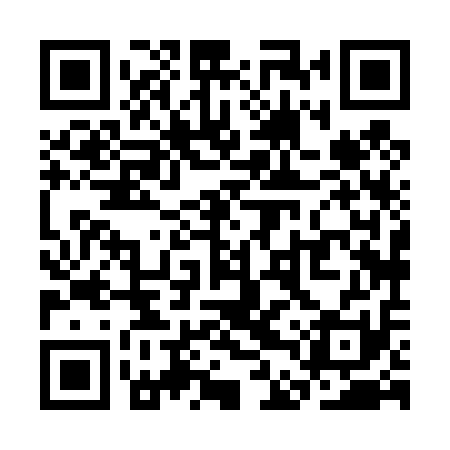 QR code for SDX411