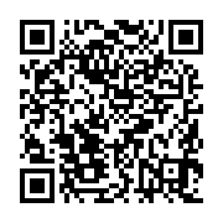 QR code for SFQ991