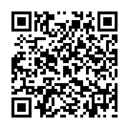 QR code for SII738