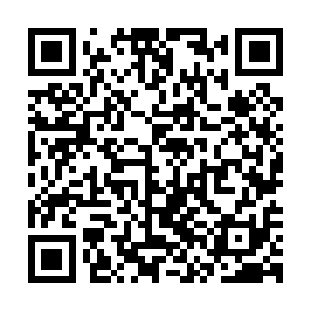 QR code for SVN011
