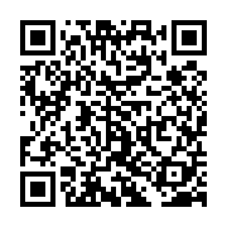 QR code for TDK509