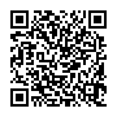 QR code for THM384