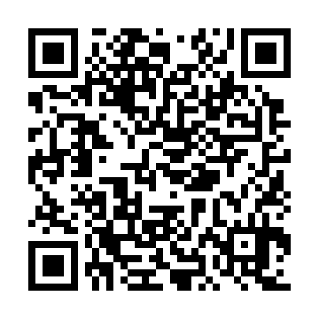 QR code for THN334