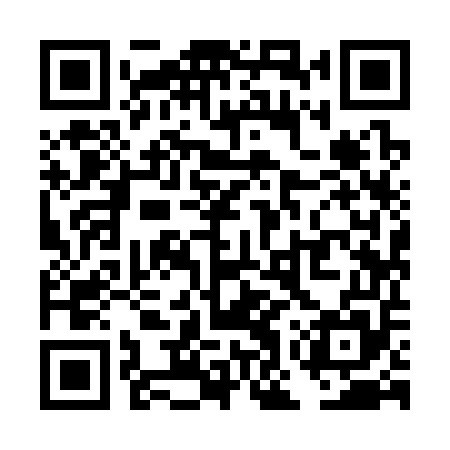 QR code for TOY355