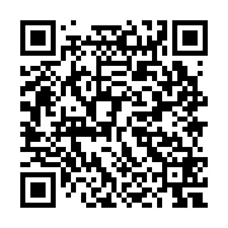 QR code for TOY368
