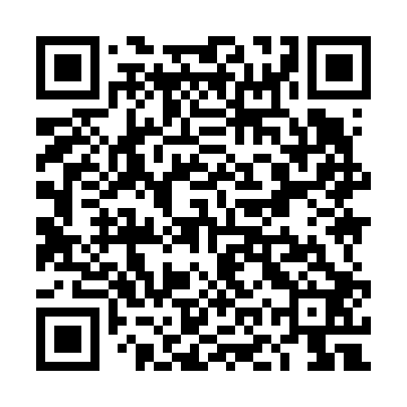 QR code for TOY602