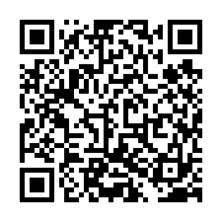QR code for TPI633