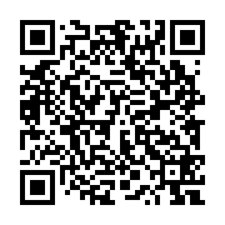 QR code for TPL368