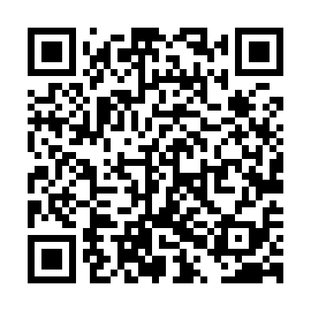 QR code for TPL919