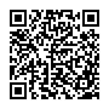 QR code for UDI246