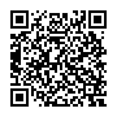 QR code for UDK383