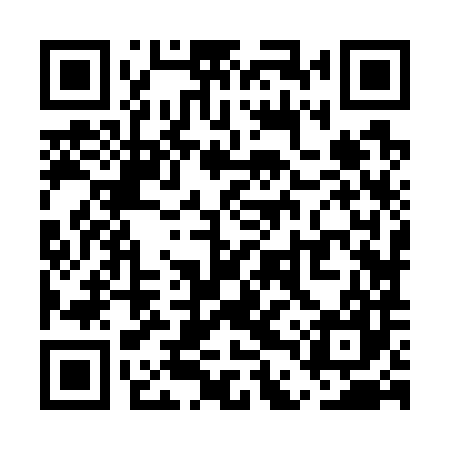 QR code for UDZ787