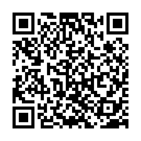 QR code for UFC138
