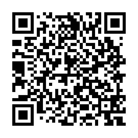 QR code for VEI398