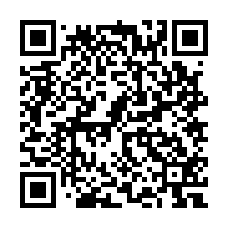 QR code for VFZ113