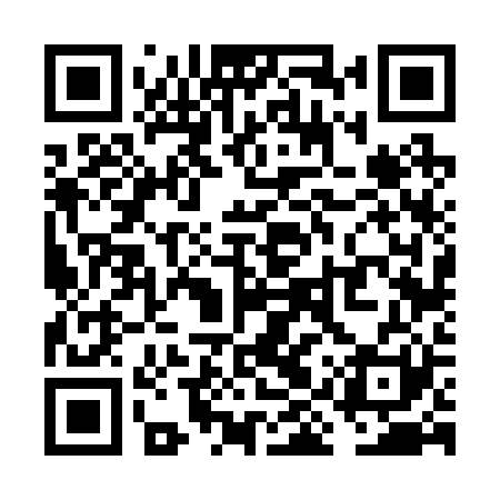 QR code for VIV221