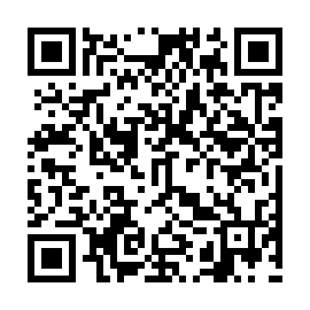 QR code for VIV934