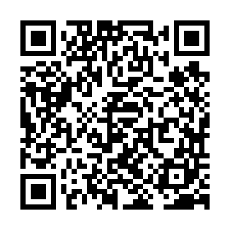 QR code for VIZ640