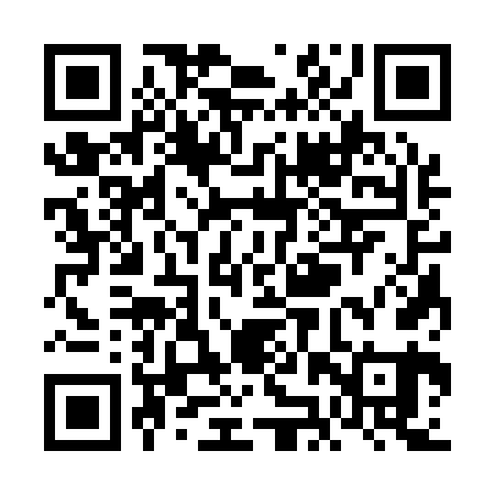 QR code for VJS161