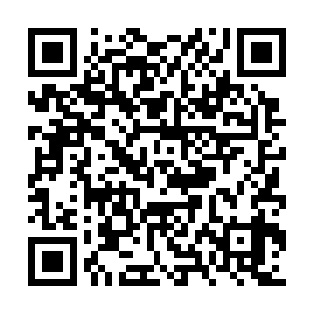QR code for VXD339
