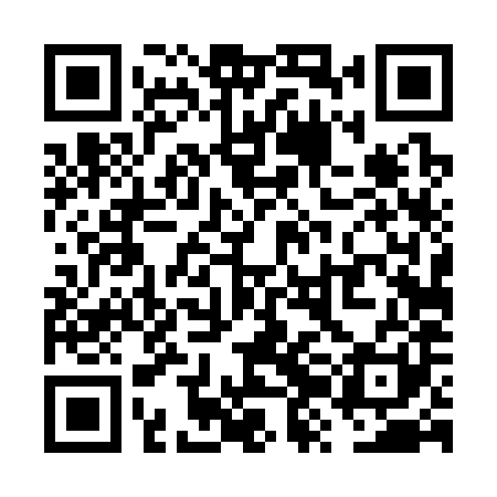 QR code for VZD381