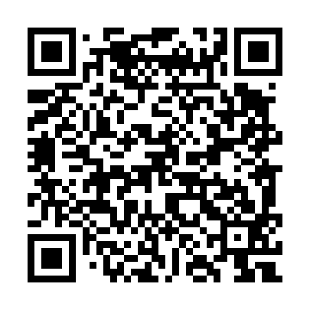 QR code for WNL493