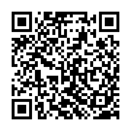QR code for WRI381