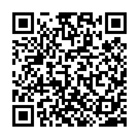 QR code for WSF411